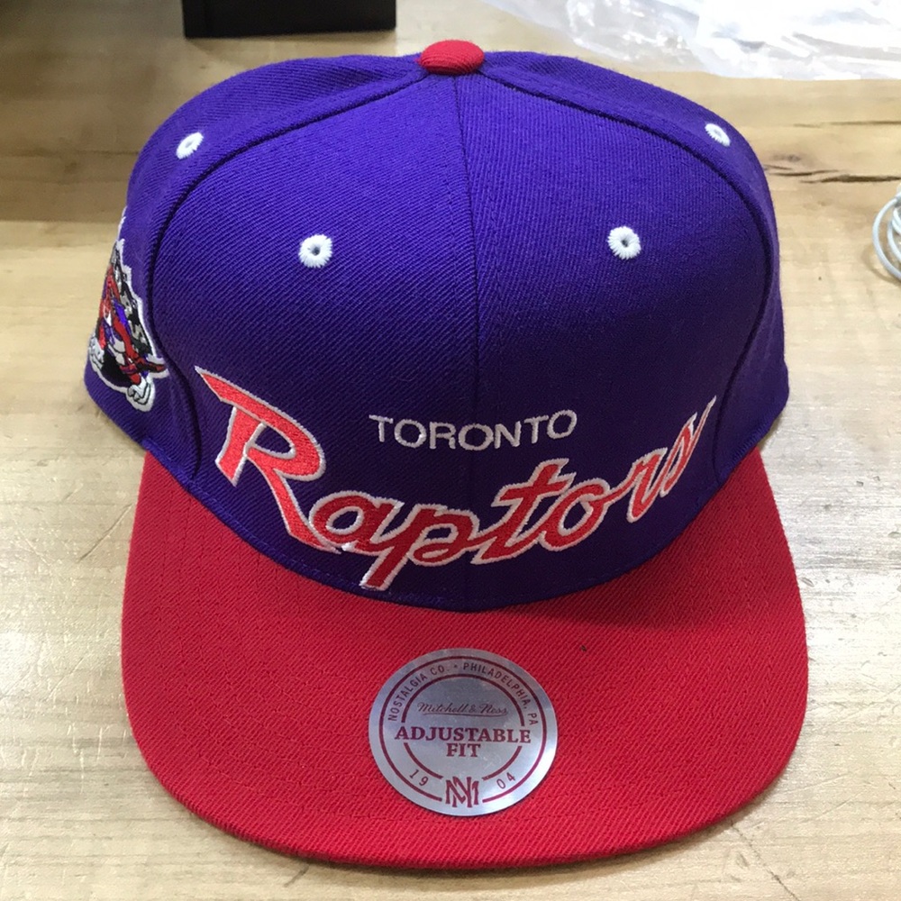 Toronto Raptors SnapBack